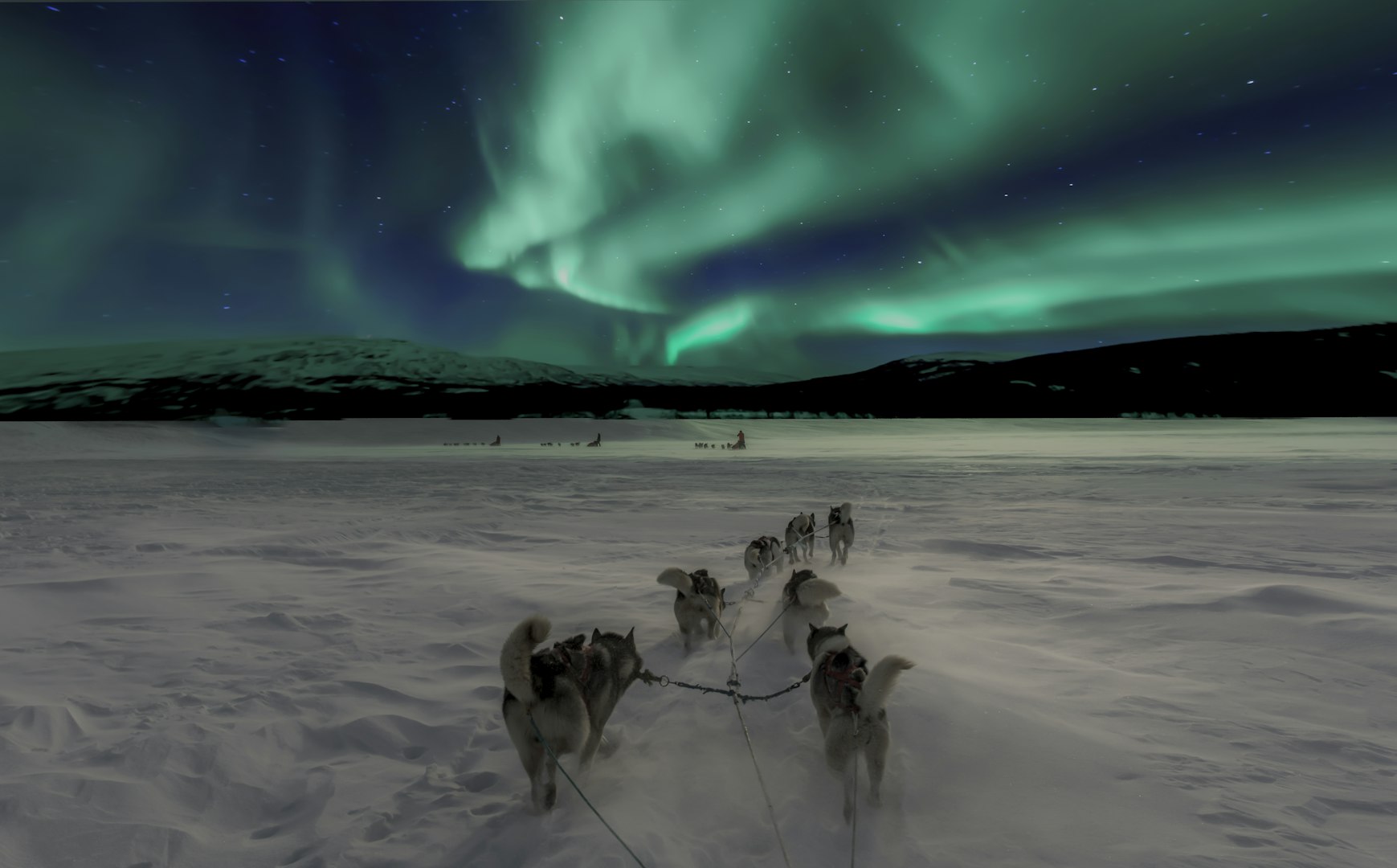 Picture of a frozen lake and dog sledding with the northern light in the background.